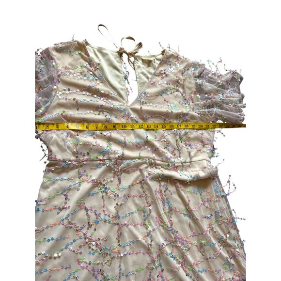 Southern Fried Chics Pink Sequined Dress - Size XXL - Picture 6 of 15